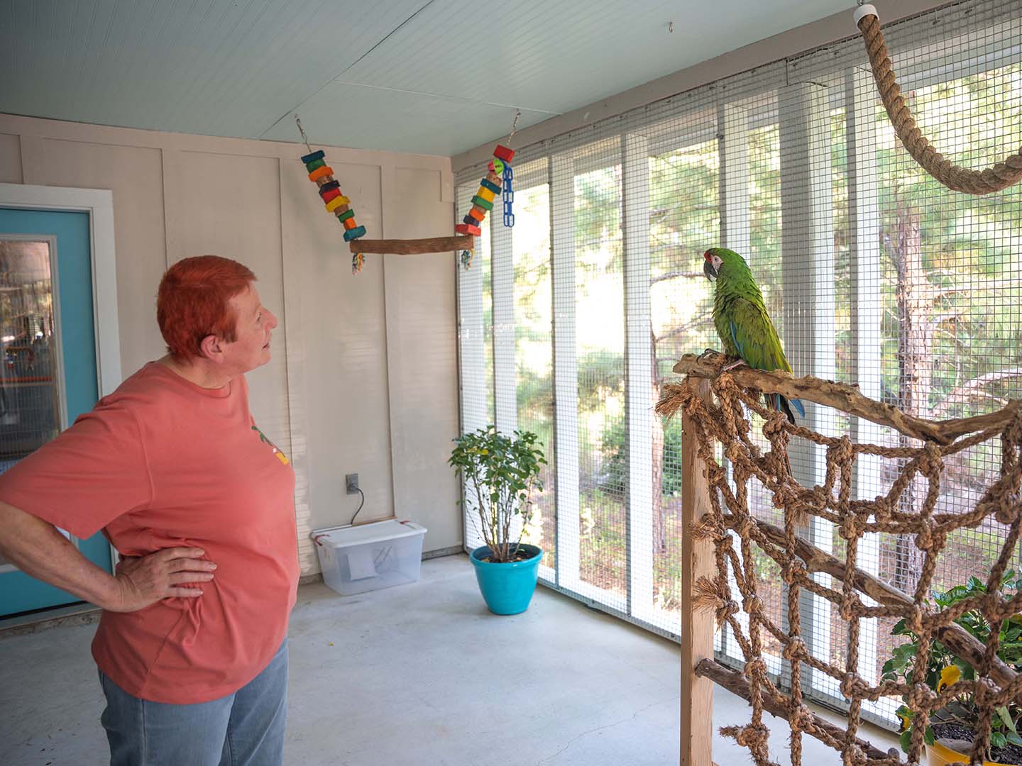 Exotic Enclosures in Bastrop Texas