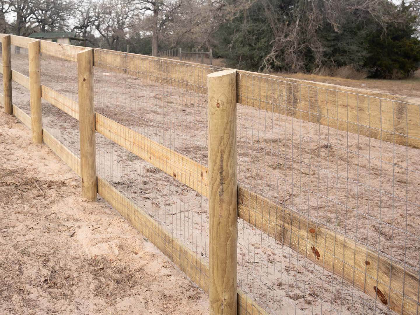 Farm Fence in Central Texas